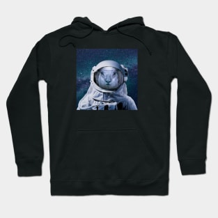 Spacey Sheep Hoodie